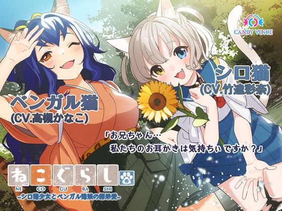 耳かき 吐息 ねこぐらし 3 シロ猫少女とベンガル猫娘の師弟愛 Cv 竹達彩奈 高槻かなこ Candy Voice 抜ける 同人エロアニメ レビューまとめ